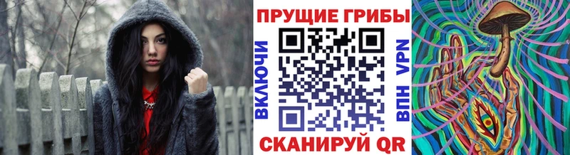 это клад  Солнечногорск  Галлюциногенные грибы Magic Shrooms 